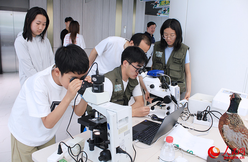 参观者观察动植物标本。人民网记者 张静淇摄