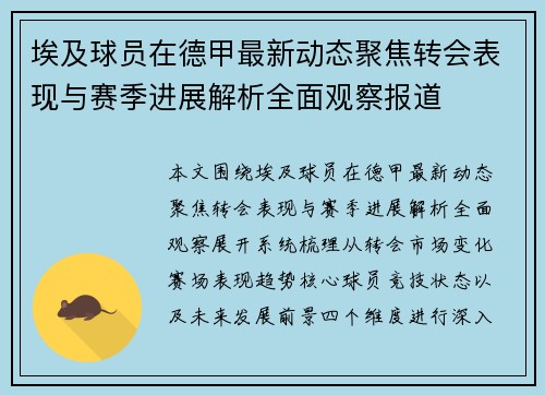 埃及球员在德甲最新动态聚焦转会表现与赛季进展解析全面观察报道